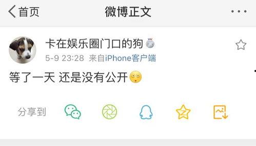 爆料为啥叫吃瓜,网络爆料的趣味起源