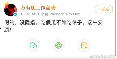 吃瓜官网怎么登录不了了,揭秘无法登录之谜